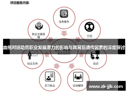 血统对运动员职业发展潜力的影响与其背后遗传因素的深度探讨 血统对运动员职业发展潜力的影响与其背后遗传因素的深度探讨