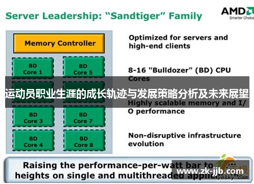 运动员职业生涯的成长轨迹与发展策略分析及未来展望