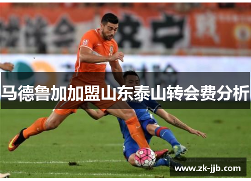 马德鲁加加盟山东泰山转会费分析