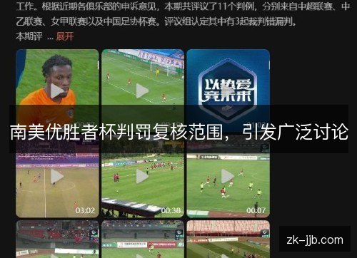 南美优胜者杯判罚复核范围，引发广泛讨论